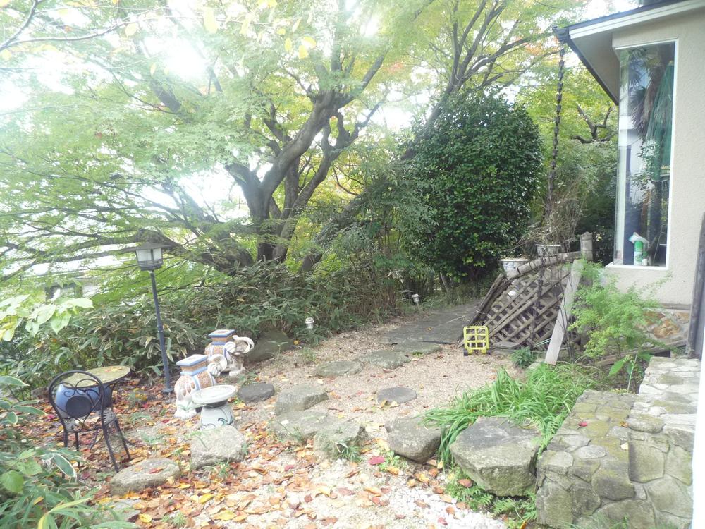 Garden. The south side of the garden