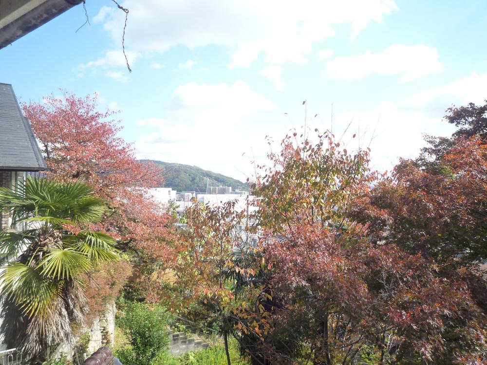 View photos from the dwelling unit. Mountains and Osaka Plain overlooks May is ahead of the garden of trees.