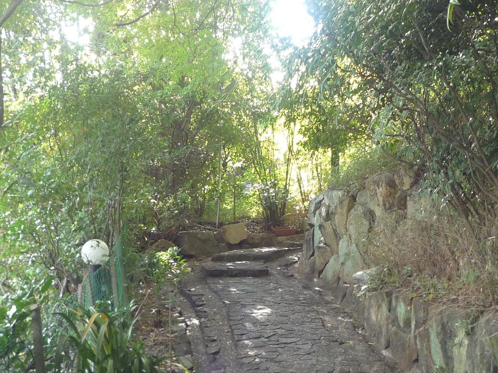 Other. Approach to the site side entrance