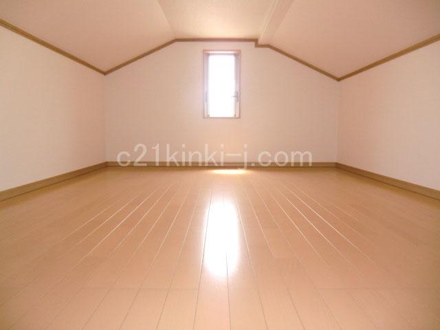 Other introspection. Local photo (attic storage)