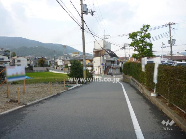 Local photos, including front road. Local (11 May 2013) Shooting