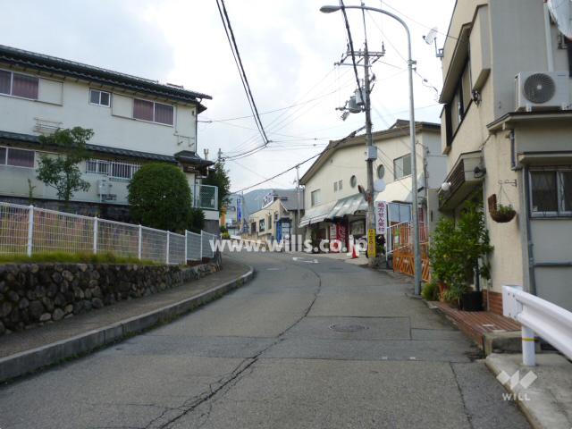 Local photos, including front road. Local (11 May 2013) Shooting