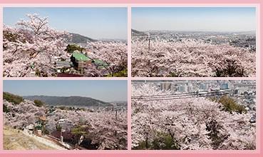 View photos from the dwelling unit. View from local