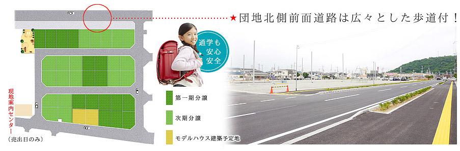 Other. Spacious sidewalk with a road on the north side of the park! 