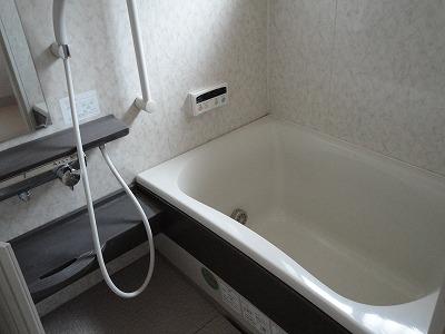 Bathroom. Local (12 May 2012) shooting