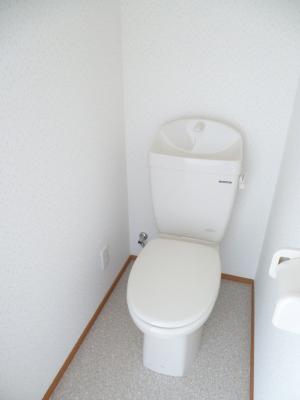 Other. Is a beautiful toilet disinfection already.