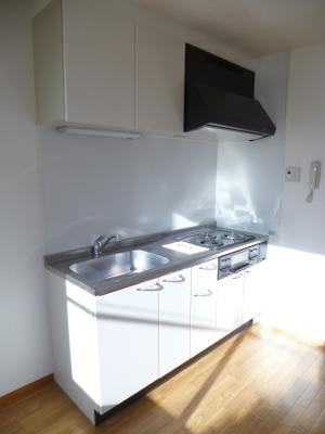 Kitchen. Kitchen of shiny.