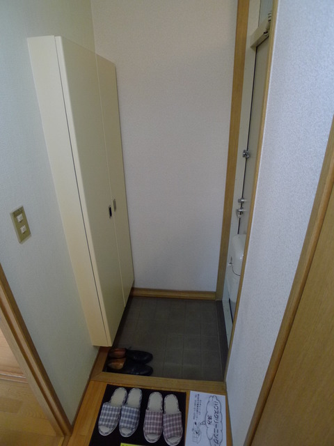 Entrance. It is the front door with a shoe box.