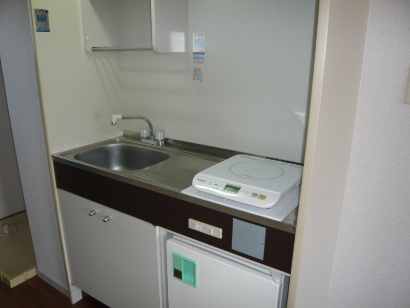 Kitchen. You attach the new IH stove!