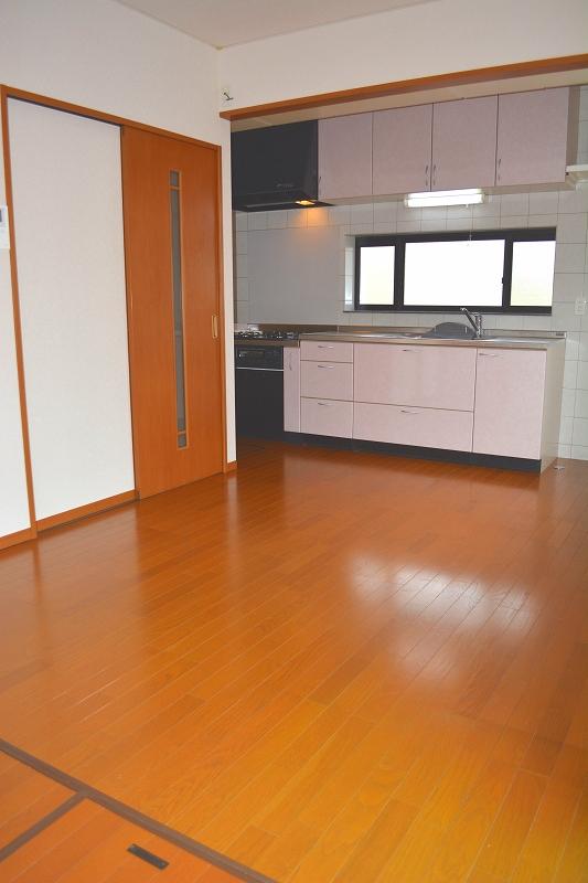 Living. Indoor (September 2013) Shooting