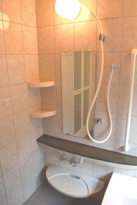 Bathroom. Indoor (September 2013) Shooting