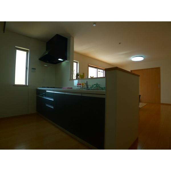 Other introspection. Same specification type