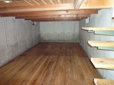 Other introspection. Basement