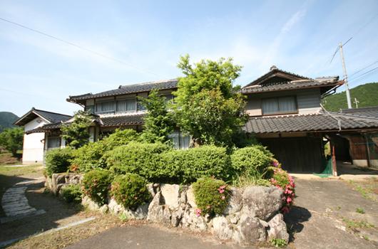 Local appearance photo. Tamba Aogaki wrapped in rich natural.