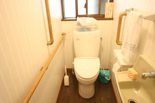 Toilet. State of the toilet