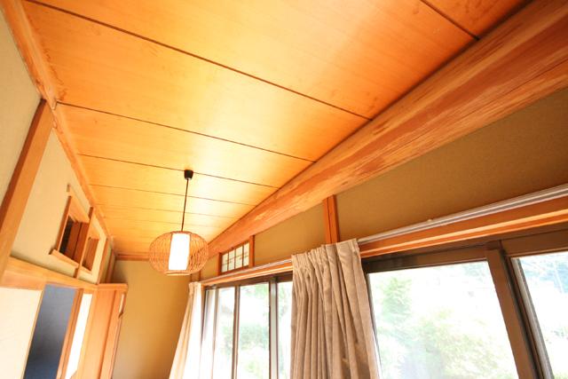 Other introspection. Appearance of fine Enketa