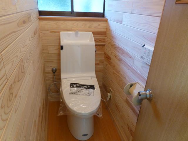 Toilet. State of the toilet