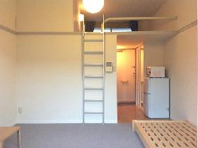 Living and room. There closet with mirror