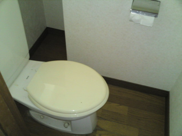 Toilet. Western style