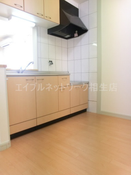 Kitchen. Face-to-face kitchen