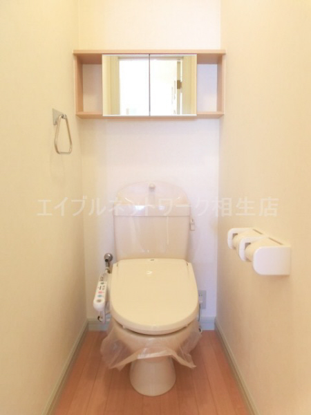 Toilet. With mirror storage