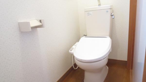 Toilet. It was toilet seat exchange with hot cleaning