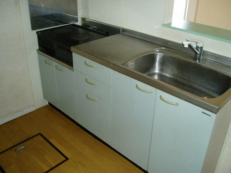 Kitchen. Kitchen sink