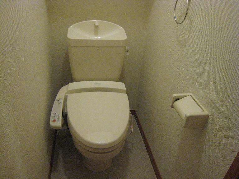 Toilet. It is a warm water washing toilet seat.
