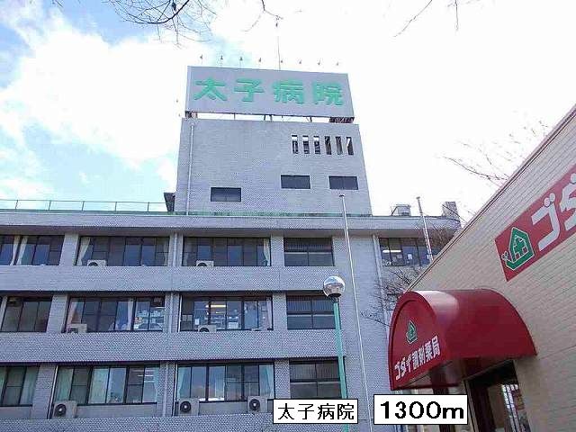 Hospital. Prince 1300m to the hospital (hospital)