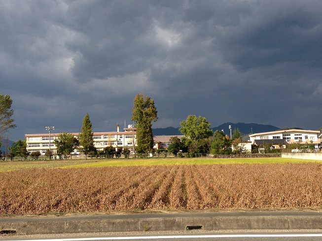 Primary school. Toyooka 1424m to stand Nitta elementary school (elementary school)