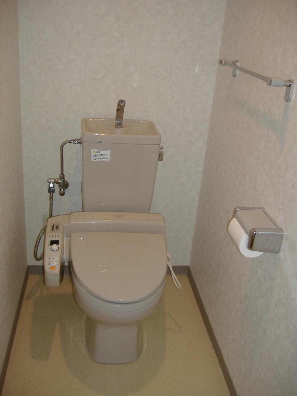 Toilet. Cleaning toilet seat