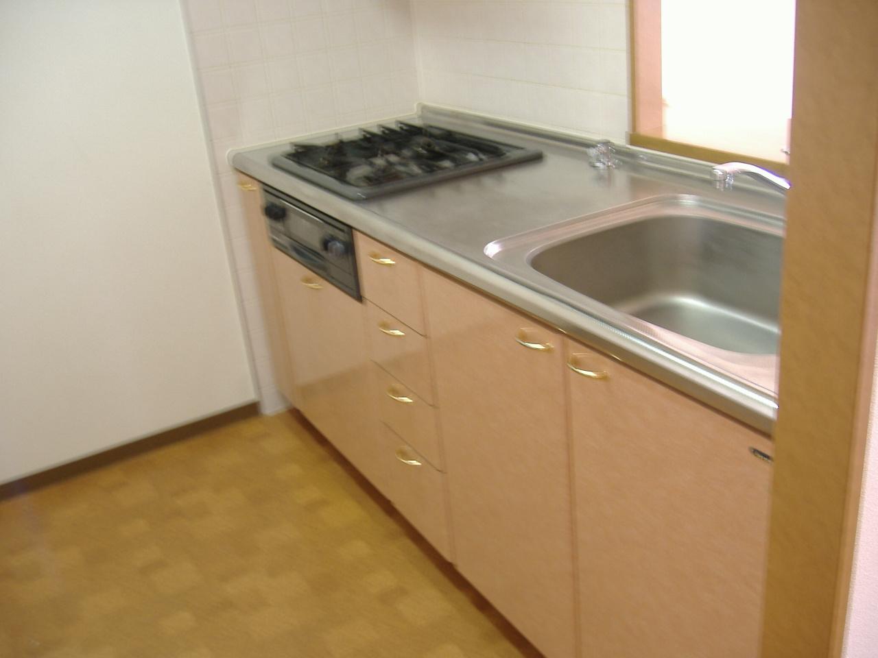 Kitchen. Feeling of luxury kitchen with stove!