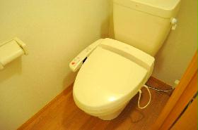 Toilet. It is with a bidet.