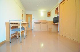 Living and room. This functional studio.