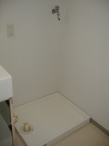 Washroom. Washing machine Storage