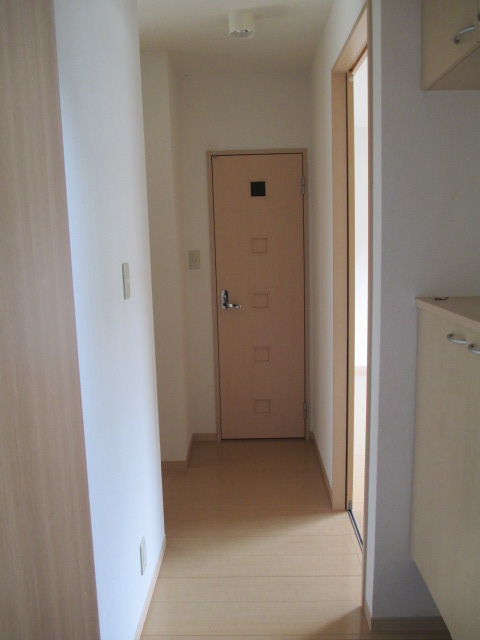 Entrance. It does not become full view room because there is a corridor!