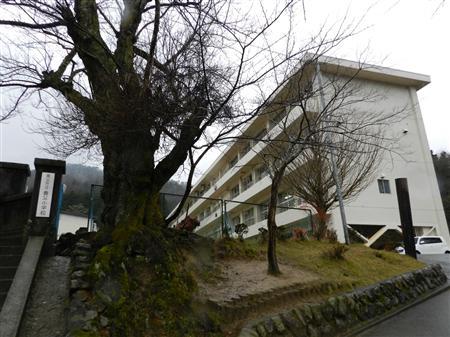 Primary school. Adoptive father to elementary school (elementary school) 2970m