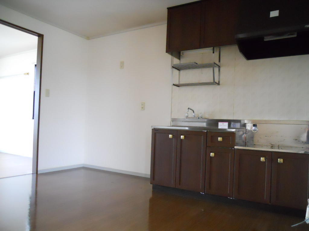 Kitchen. Spacious kitchen space