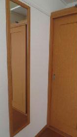 Other. With systemic mirror in the living room