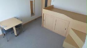 Living and room. Second floor carpet