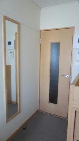 Other. With systemic mirror