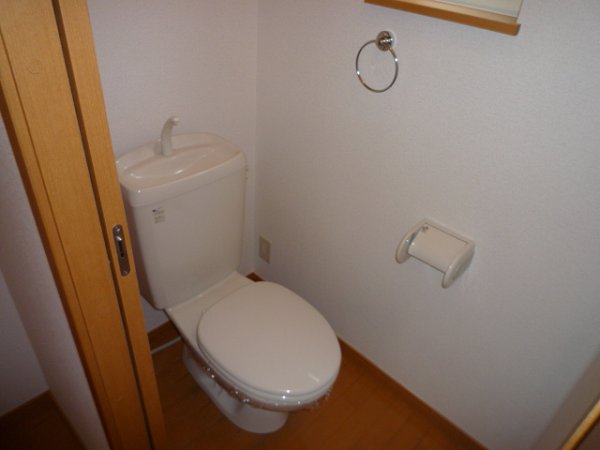 Toilet. Toilet