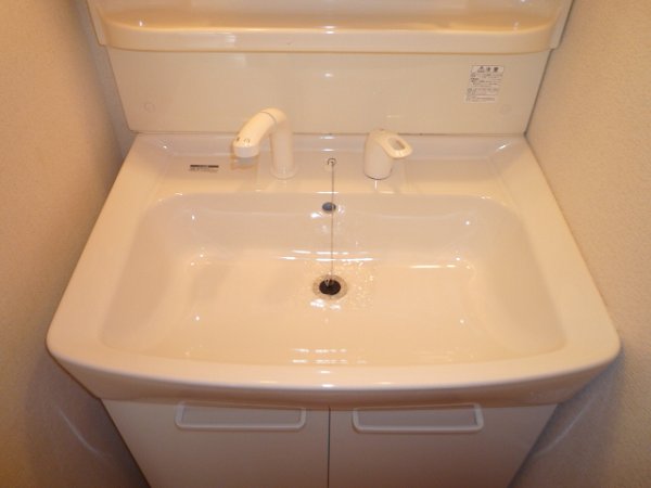 Washroom. Shampoo dresser