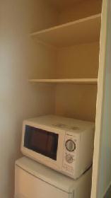 Other. There is storage space