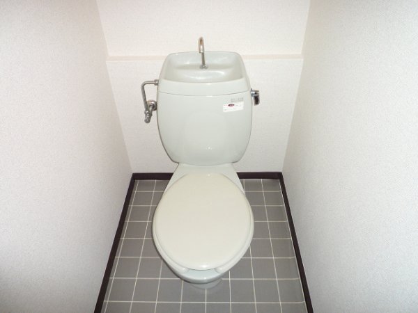 Toilet. Toilet