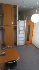 Living and room. With loft