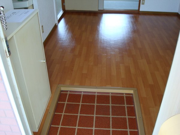 Entrance. Shoes with Box