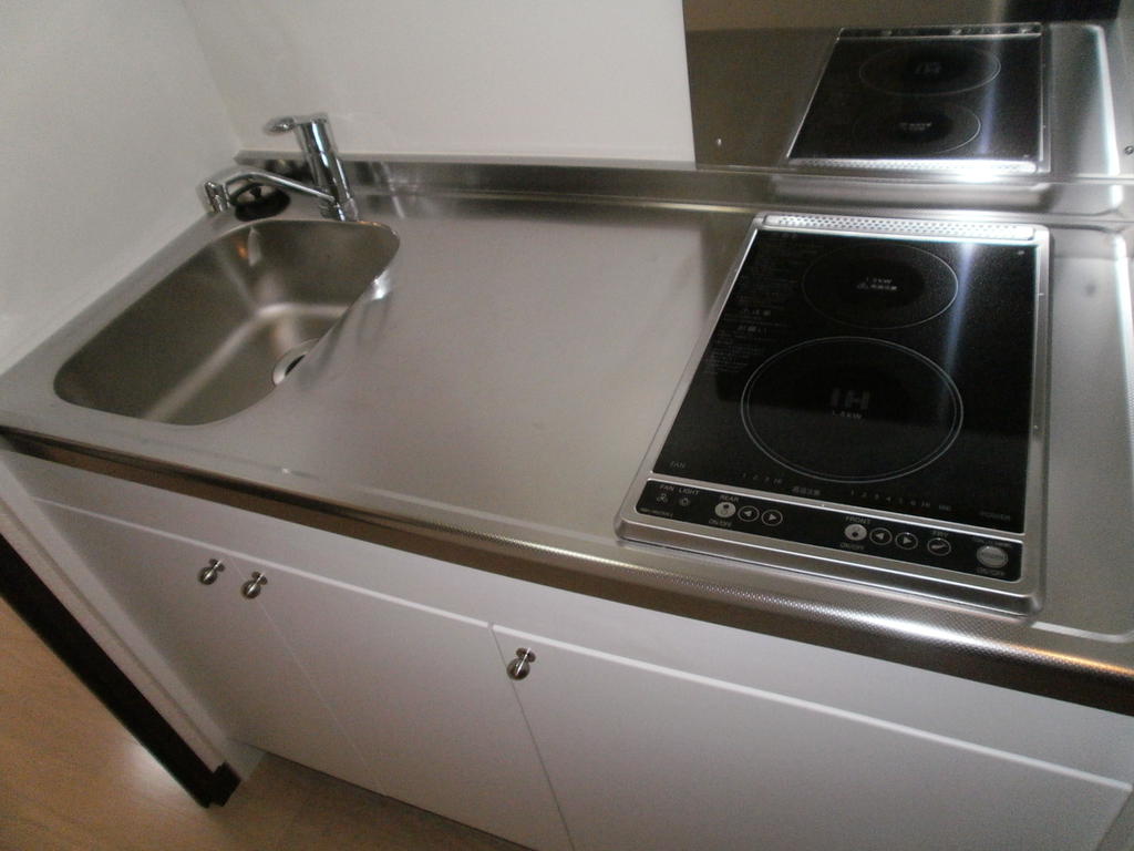 Kitchen. Just the right size to living alone