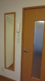 Living and room. Full-length mirror at the entrance of the room.