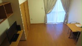 Living and room. First floor flooring